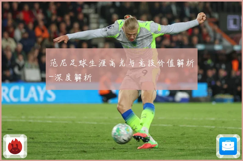 范尼足球生涯高光与竞技价值解析-深度解析