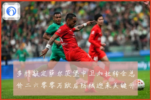 多特敲定萨尔茨堡中卫加杜转会总价二六零零万欧后防线迎来关键升战术观察-深度解析