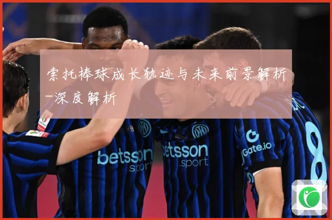 索托棒球成长轨迹与未来前景解析-深度解析