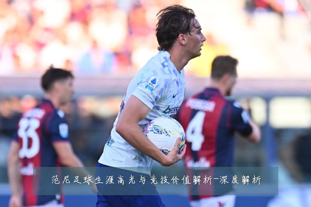 范尼足球生涯高光与竞技价值解析-深度解析