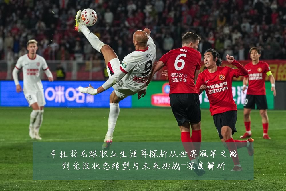 辛杜羽毛球职业生涯再探析从世界冠军之路到竞技状态转型与未来挑战-深度解析