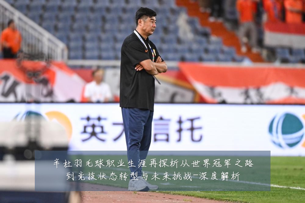 辛杜羽毛球职业生涯再探析从世界冠军之路到竞技状态转型与未来挑战-深度解析